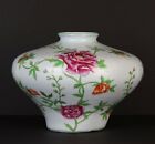 Chinese squat meiping famille rose hand-painted porcelain vase