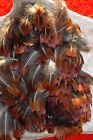 PHEASANT FEATHERS 150 HEART LOOSE HAND SELECTED FLYS  ART CRAFTS