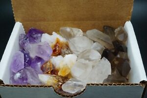 Crystal Points Collection 1/2 LB Amethyst Citrine Clear Smoky Quartz Points