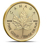 2024 1/20 oz Canadian Gold Maple Leaf Coin (BU)