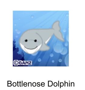 Webkinz Classic Bottlenose Dolphin Virtual Adoption Code Only
