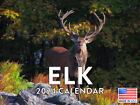 Elk Animal Deer 2024 Wall Calendar