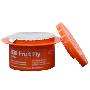 2 Vector 960 Fruit Fly Control Monitor Traps  ~~  Fruit / Bar /  Flies Gnats etc