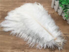 Wholesale 10-100 pcs natural ostrich feathers 6-16 inch/15-40cm 19 Colors