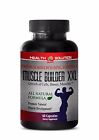 Vitamins And Dietary Supplements - Muscle Builder XXL - more muscle growth - 1 B