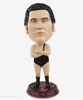 Andre The Giant FOCO WWE Bighead Bobblehead Action Figure