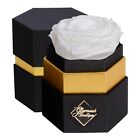 Glamour Boutique Hexagon Single Forever  Real Rose  - Preserved Roses in a Box