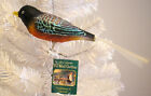 2009 OLD WORLD CHRISTMAS - ROBIN - CLIP ON BLOWN GLASS ORNAMENT NEW