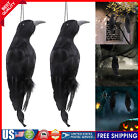 Realistic Hanging Dead Crow Decoy Lifesize 32CM Large Black Crow Feathered US