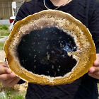 New Listing3.34LB Large Natural Petrified Wood Crystal Fossil Slice Shape Specimen Healing