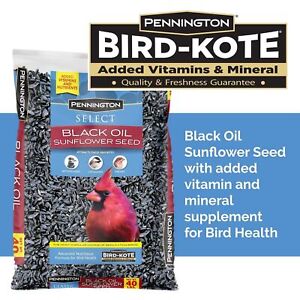 NEW ,Select Black Oil Sunflower Seed Wild Bird Feed, 40 lb. Bag