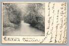 Glade Run MUNCY Pennsylvania UDB Rare Antique Postcard Lycoming County 1906
