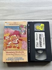 Strawberry Shortcake and the Baby Without a Name VHS Video Tape 1992 Vintage