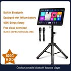 InAndon Portable Bluetooth 5.0 DSP ECHO karaoke machine,18'' screen,500GB HD MIC