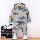 Boys Baby Toddler Tracksuit Dinosaur Hoodie Top Pants Set Outfits Casual Clothes