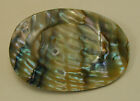 Old Original Antique Abalone Brooch Lapel Pin 1940's Very Rare