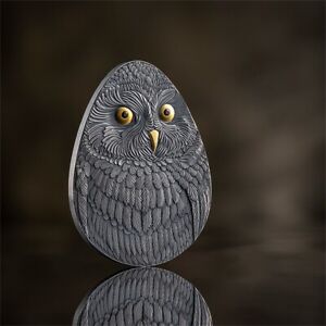 Short-eared Owl Marvelous Owls 1 oz Antique finish Silver Coin 2$ Niue 2024