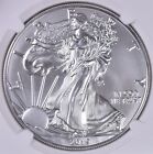 New Listing2019 American Silver Eagle - NGC MS69