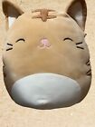 Squishmallow Nathan The Cat/ 12 Inch/ Hard To Find/tan Plush