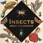 2024 Square 16-Month Wall Calendar, Insects, 12x12 in