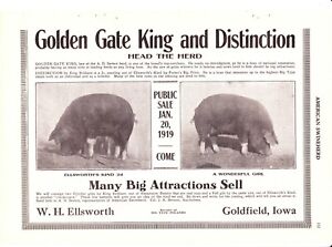 1919 American Swineherd Hog Sales  Goldfield & Irvington IA ~ Morton IL