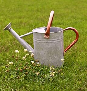 Watering Can for Outdoor Plants Rustic Metal Plant Watering Can Copper Handles