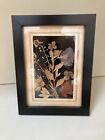 Vintage Framed Dried Pressed Flowers Black Background Garden Art 8”x 6”