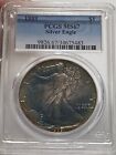 Monster Toned 1989 Ameican Silver Eagle PCGS MS67