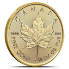 2024 1/4 oz Canadian Gold Maple Leaf Coin (BU)