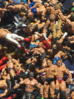 WWE Action Figure Random Pick Mystery Pack Clearance Priced Mattel Jakks more