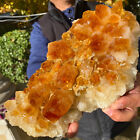 New Listing5.8LB LARGE Natural citrine Quartz Crystal Cluster raw Healing Mineral Spe