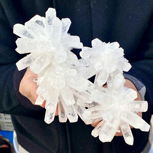 New Listing2.3LB Natural White Clear Quartz Crystal Cluster Rock Stone Specimens Reiki