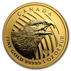 2018 Canada 1 oz Gold Eagle .99999 BU (Dmgd/No Assay)