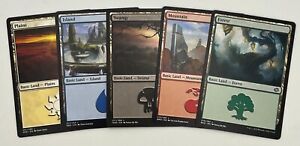 Magic: The Gathering MTG TCG Basic Land Card Lot 20 of Each Type! 100 Cards!