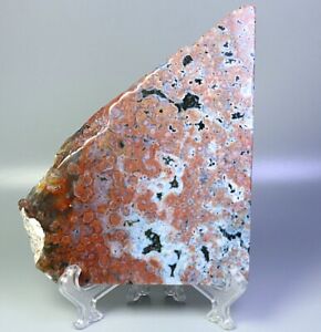Best Natural Polished Ocean Jasper Agate Crystal Slice Reiki Stone Healing Stand
