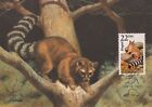 Ringtail Fauna World Wildlife Canada USA Art Oregon Mint Maxi Card FDC 1987