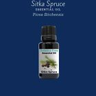 Artisan Wild Sitka Spruce Needles Essential Oil | Picea Sitchensis |