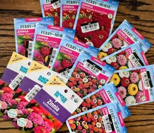 Big Lot of 15 Assorted Colorful Zinnia Cutting Garden Seed Packets