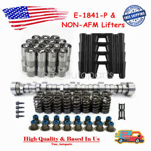 E-1841-P Sloppy Stage 3 Cam Lifters Springs For Chevy LS .595
