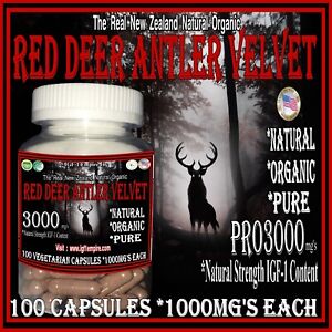 Red Deer Antler Velvet 1:1 #1 Free Testosterone Booster Muscle Growth Factor 1