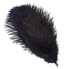 New Listing10Pcs Sexy Natural Ostrich Feather 15-50CM For Craft Wedding Party Decoration