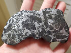 Campo del Cielo Silicate inclusions etched Meteorite 124g endcut COA