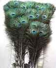 Peacock eye natural feathers 10-12inch /25-30CM 10 Pcs carnival Diy costume mask