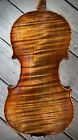 Mint Condition Old Violin by Fredrick A. Horn 4/4