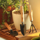 3Pcs Mini Garden Tool Hand Rake Planting Shovel Gardening Tools Succulent New