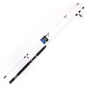 Spin N' Surf 8' Saltwater Fishing Rod