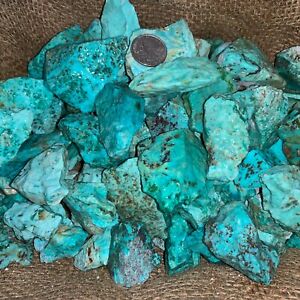 500 Carat Lots of Natural Turquoise Rough (Not Stabilized) + a Free Gemstone