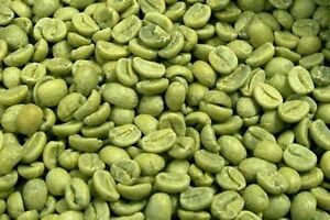 UNROASTED GREEN COFFEE 100% KONA HAWAIIAN COFFEE BEANS BEANS -  5 POUNDS
