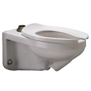 Zurn Z5615-BWL -BA Toilet Bowl Only, 1.28 gpf Wall Hung Elongated Toilet - Buy