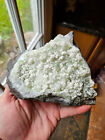 MUSEUM CALIBER DATOLITE ON PREHNITE FROM UPPER NEW ST PATERSON NEW JERSEY NJ!